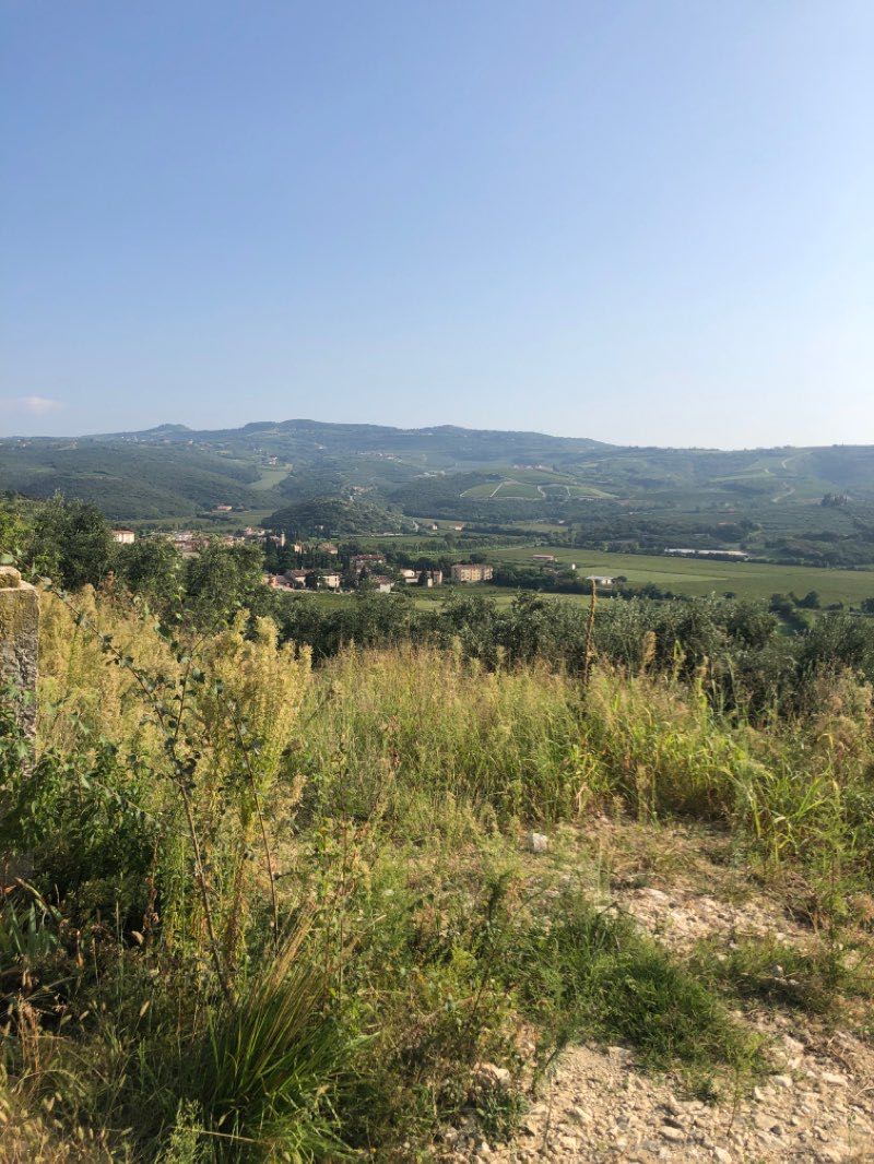 walking near me in Parco Achille Forti in winter