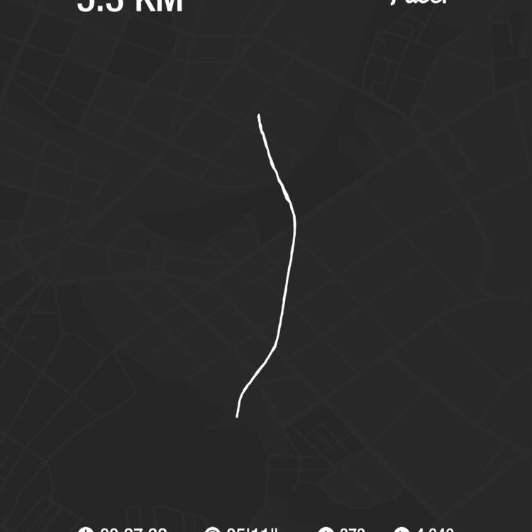 정직한몸뚱이 post 1