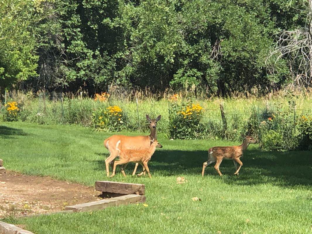 walking near me in Old Meier Property in winter
