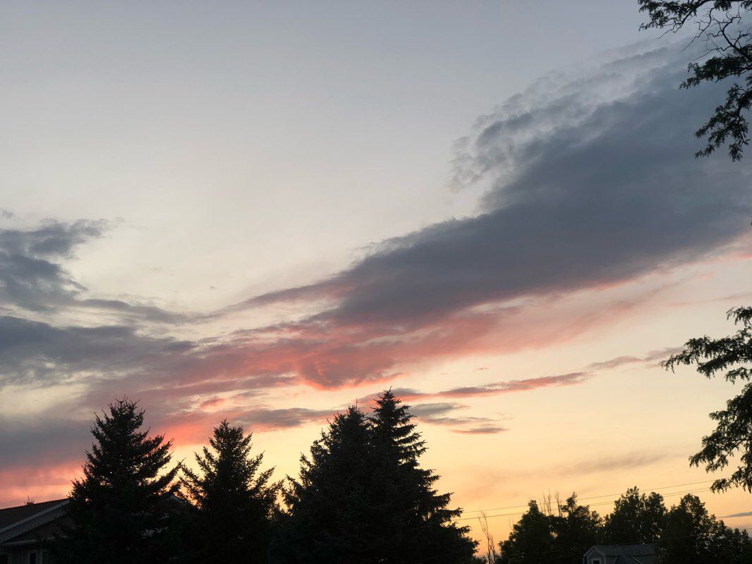 walking near me in Evans Park in winter