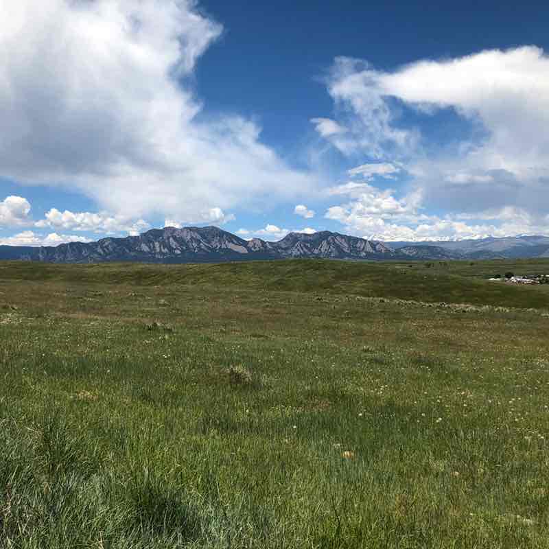 DrWharfRat🐀⛰✨✨ post 2