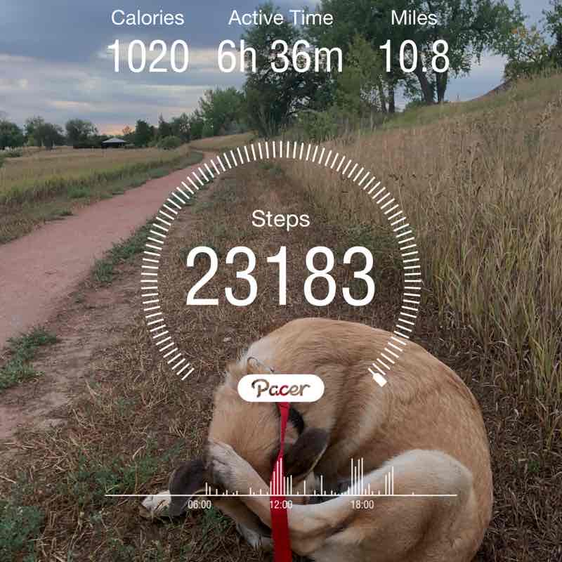 DrWharfRat🐀⛰✨✨ post 1