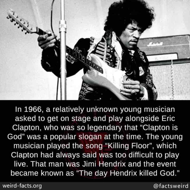 DrWharfRat🐀⛰✨✨ post 1