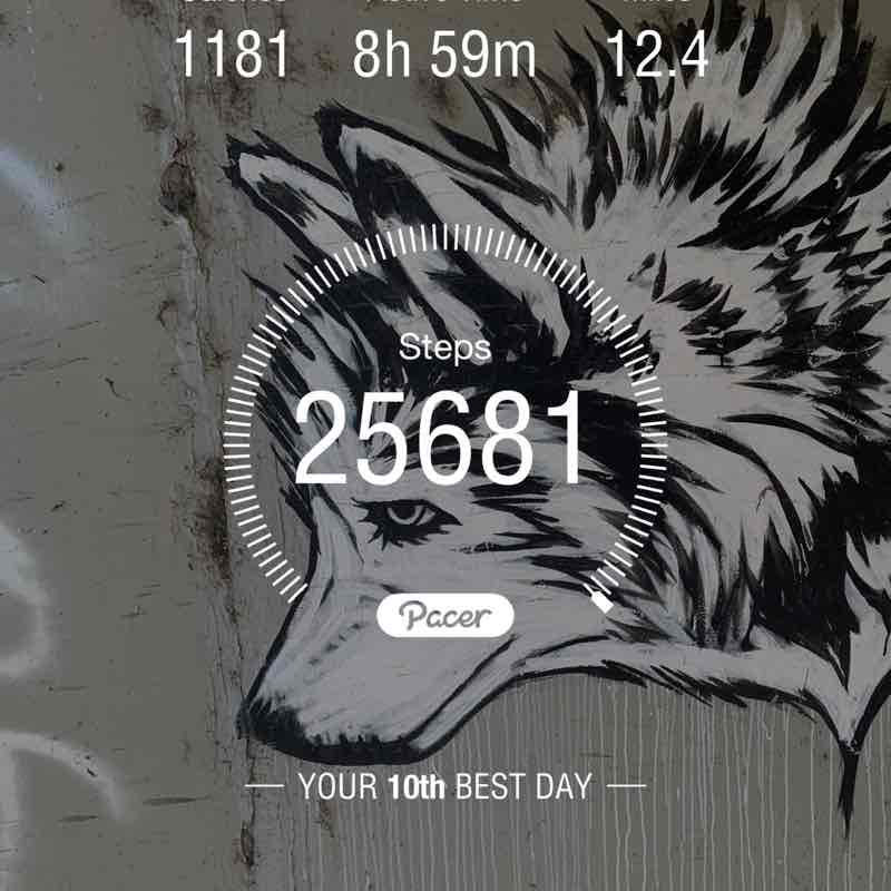 DrWharfRat🐀⛰✨✨ post 1