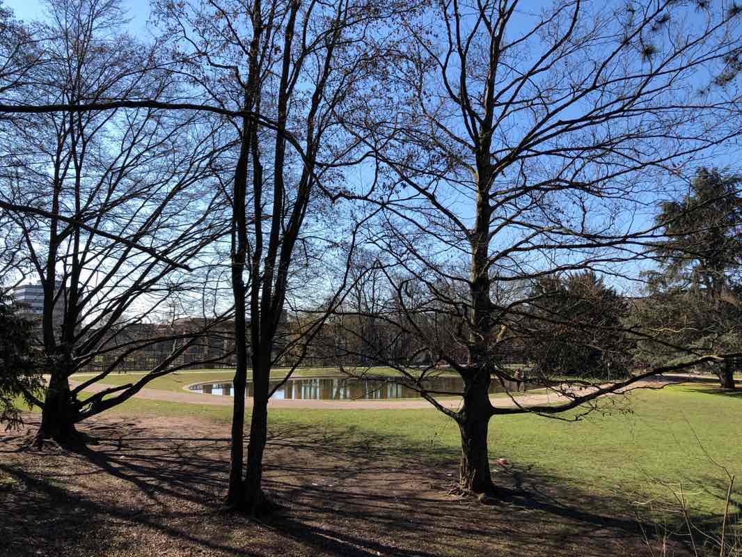 walking near me in Palastgarten in winter
