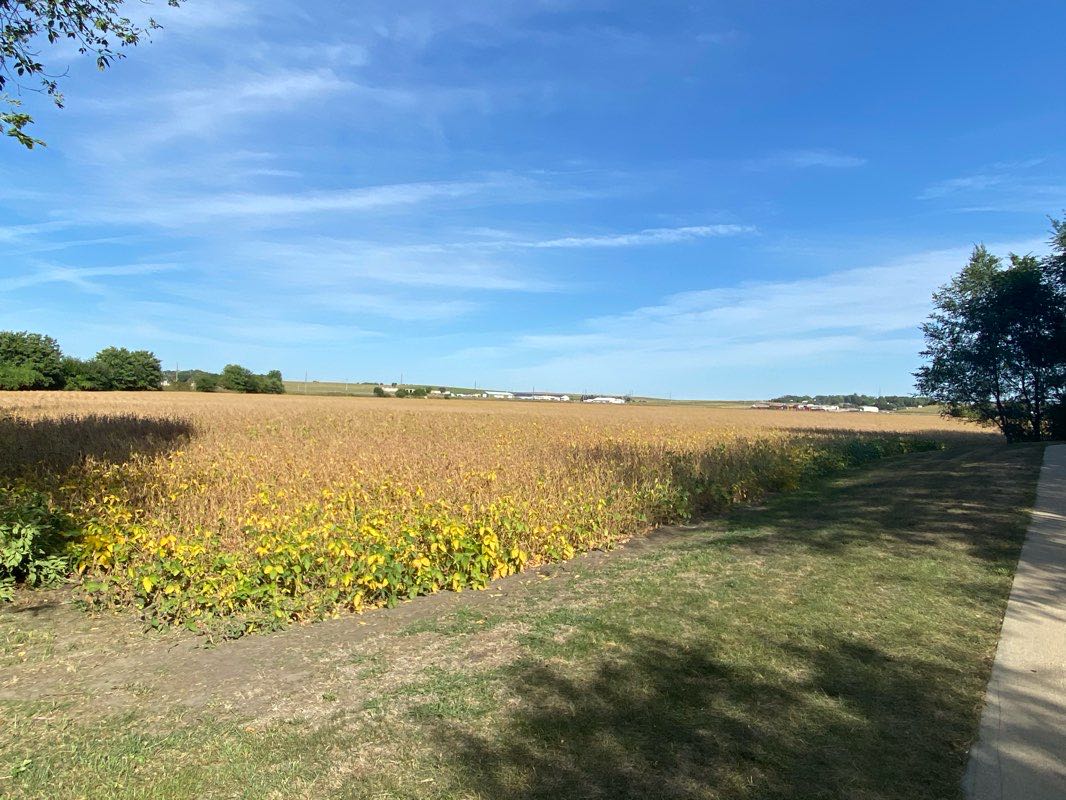 walking near me in Le Mars Municipal Park in winter