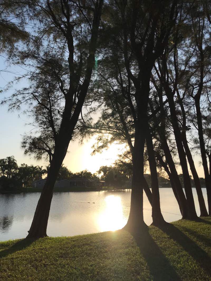 walking near me in Ben Fiorendino Park in winter