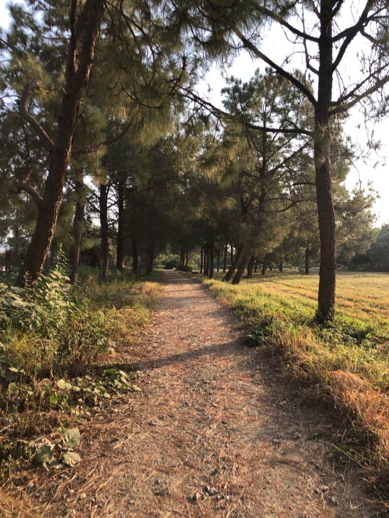 walking near me in F-10/2 Park in winter