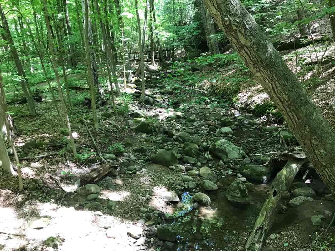 walking near me in Orange Village Park in winter