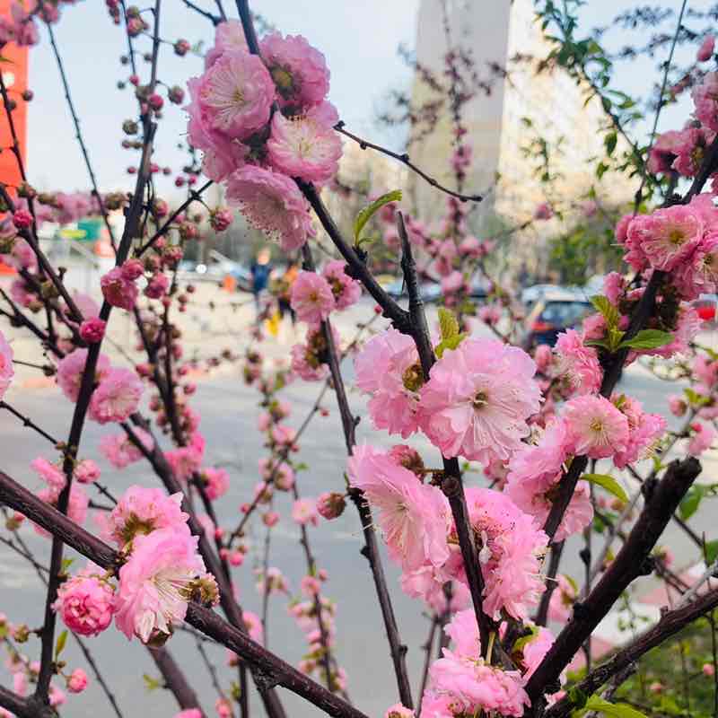 Nadia 🧚‍♀️ post 1