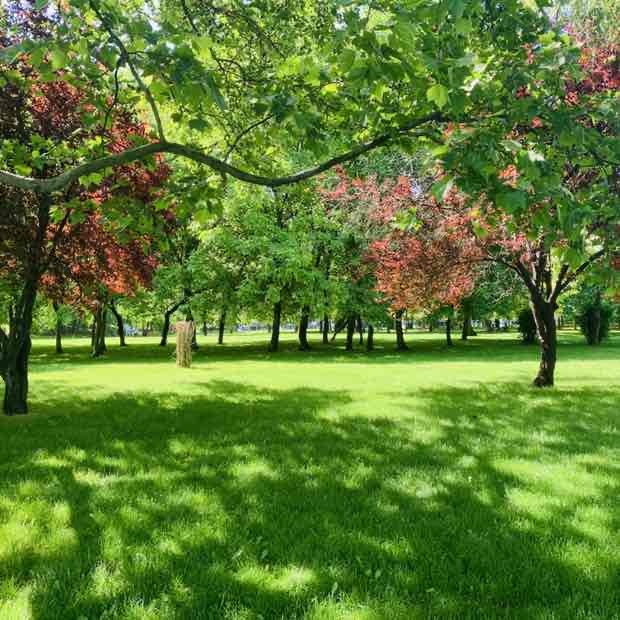 Nadia 🧚‍♀️ post 1