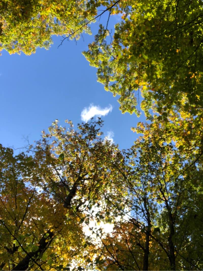 walking near me in Brunet Island State Park in winter