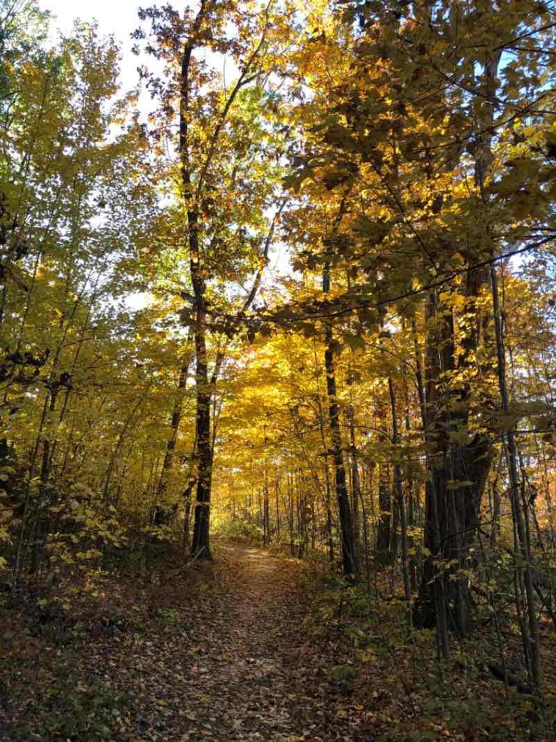 walking near me in Muir Park State Natural Area in winter