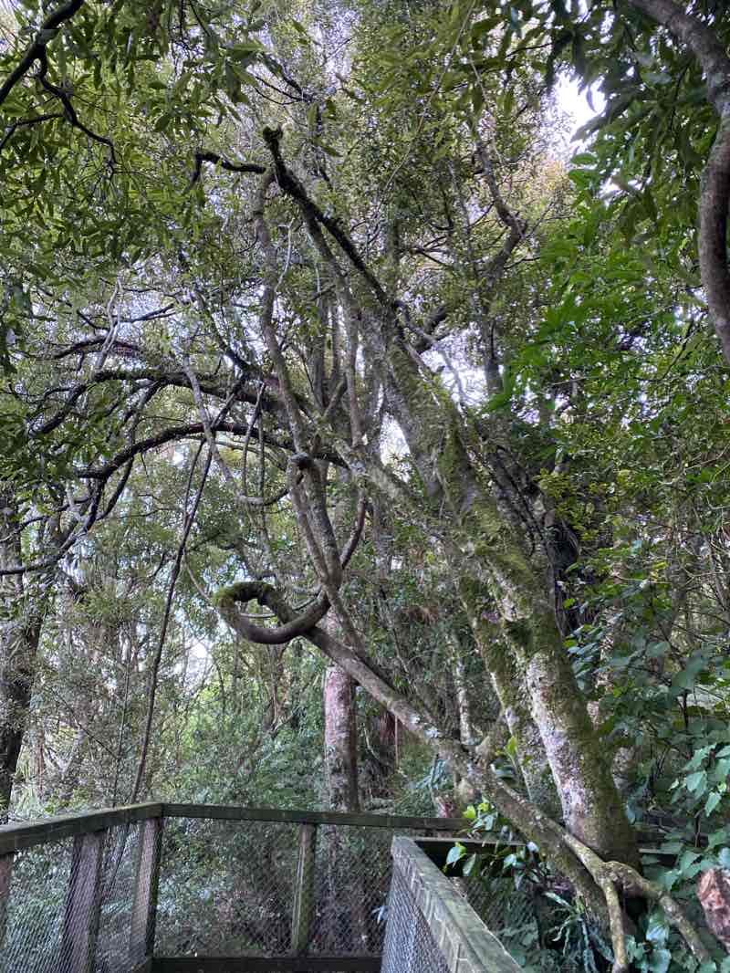 walking near me in Hammond Park in summer