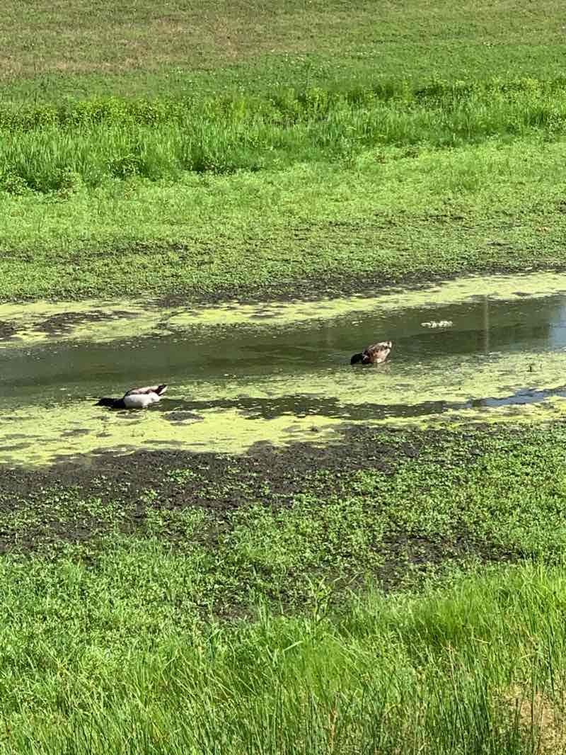 walking near me in Stolley State Park in winter