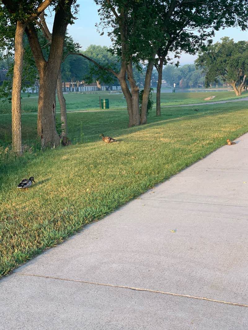 walking near me in Suck's Lake Park in winter