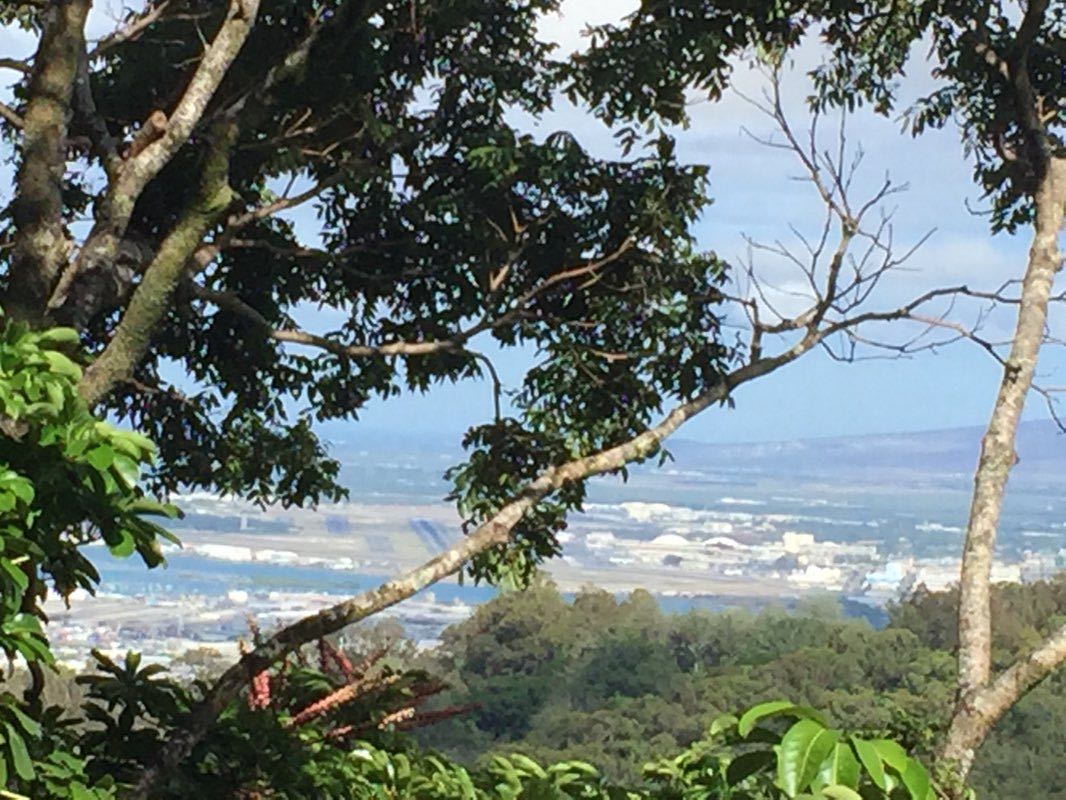 walking near me in Makiki District Park in winter