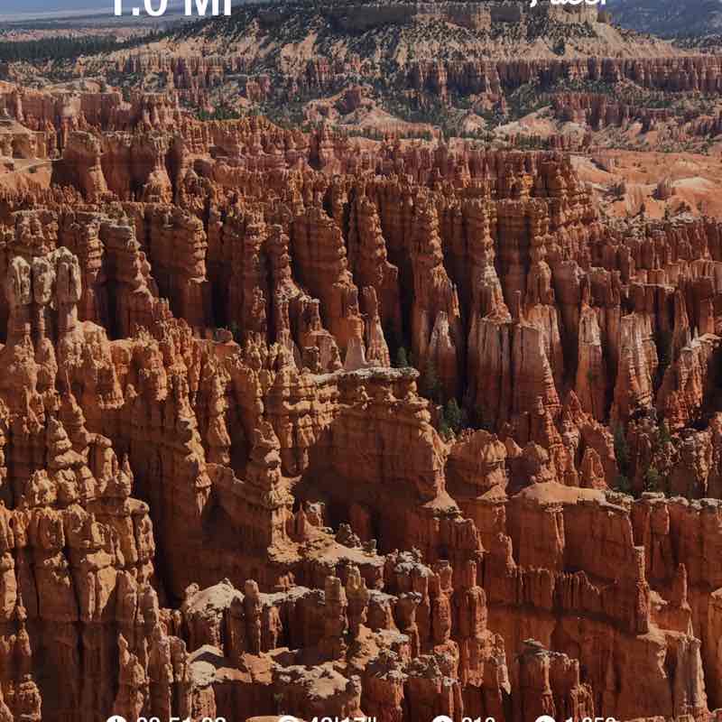 junebugmeyer1004 post 1