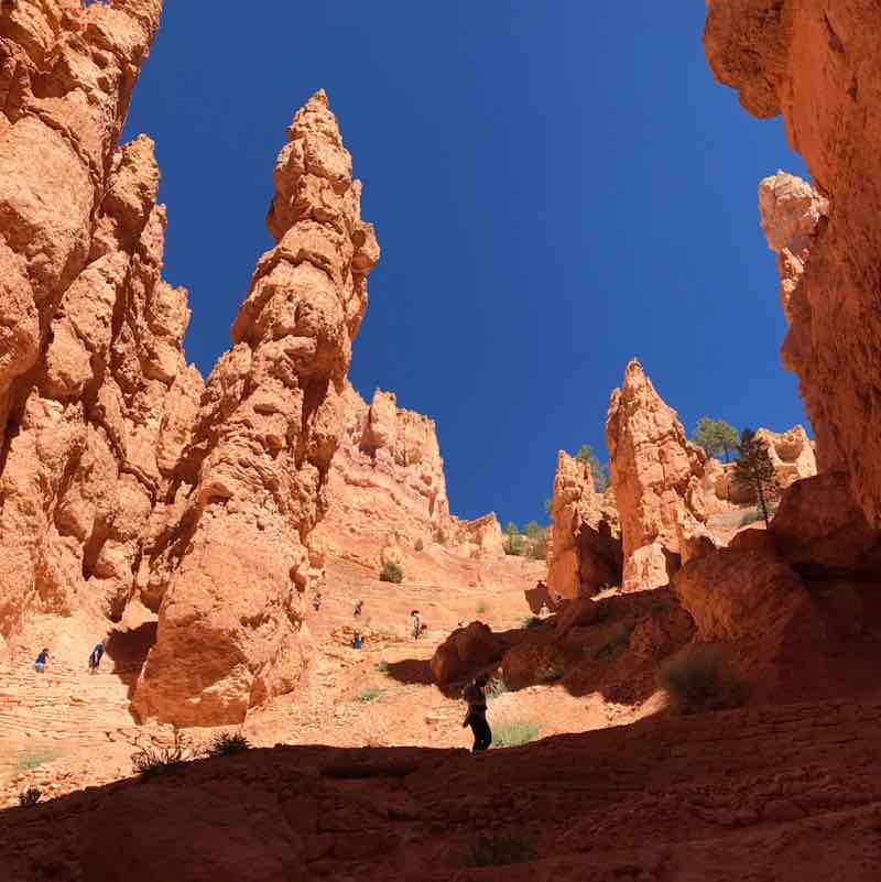 junebugmeyer1004 post 2