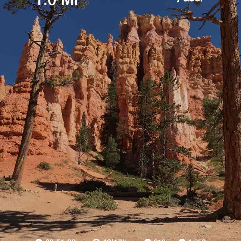 junebugmeyer1004 post 1