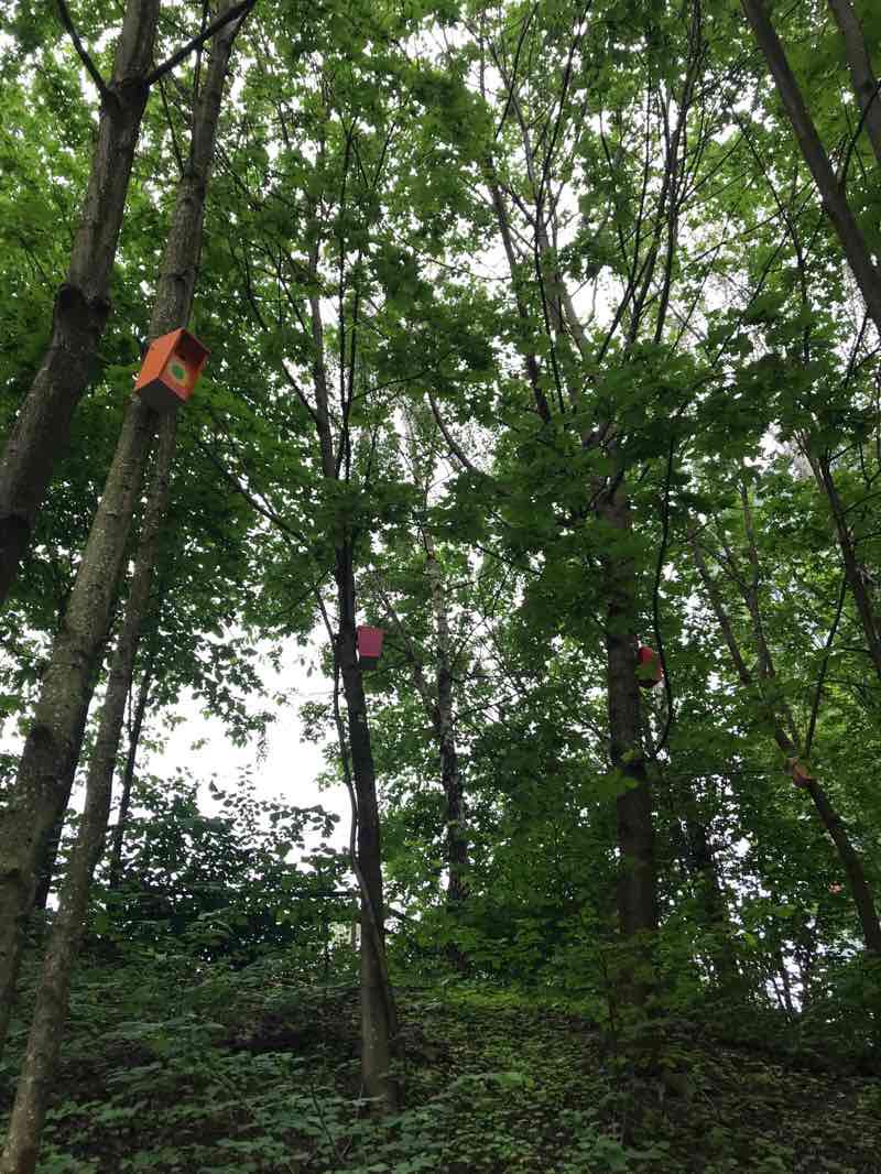 walking near me in Nedre foss park in winter