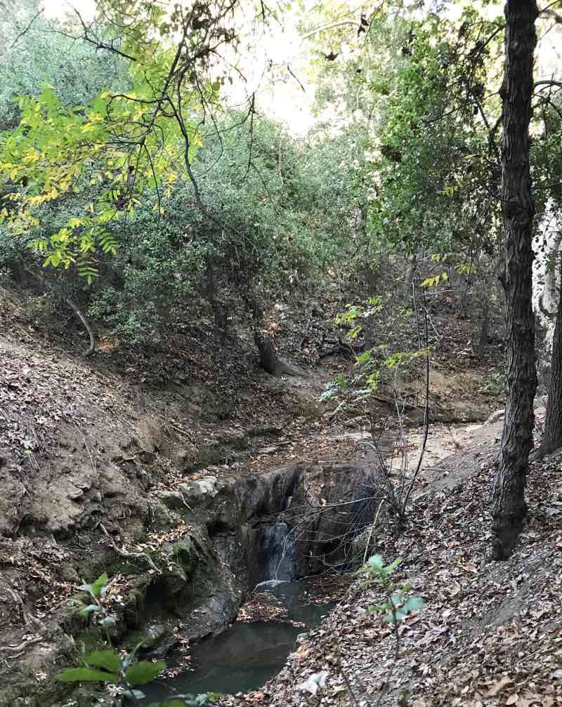 walking near me in Sycamore Canyon Park in winter