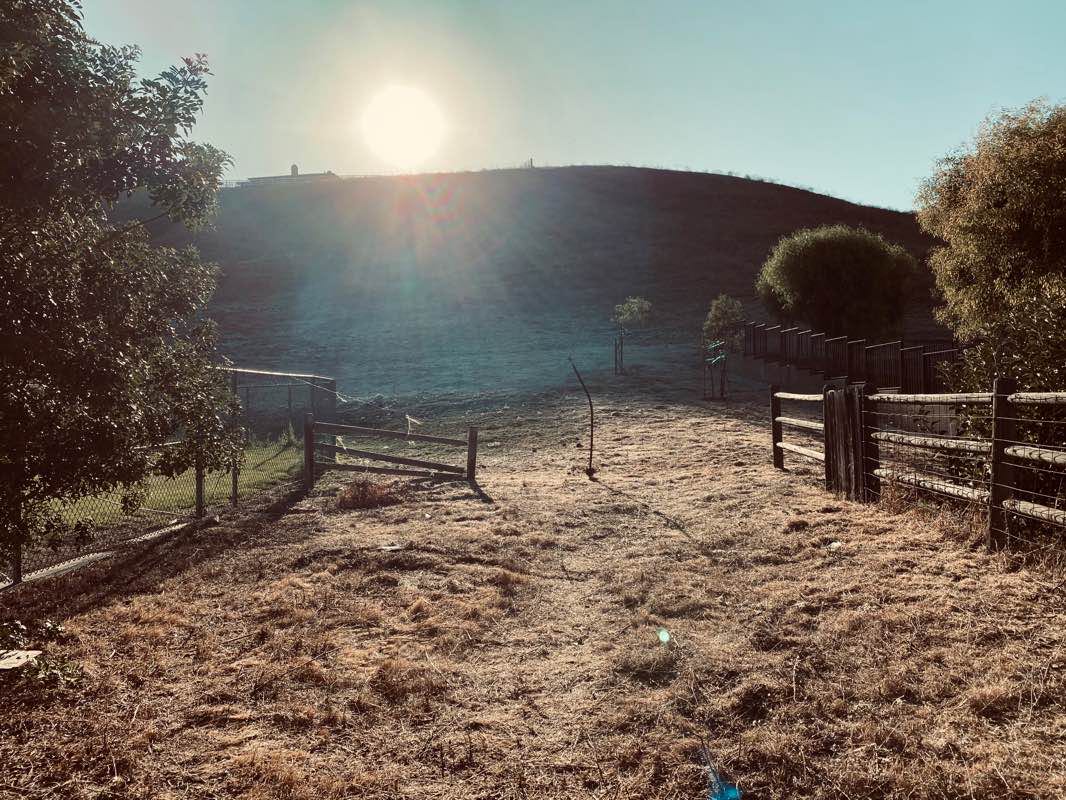 walking near me in Oak Ridge Park in winter