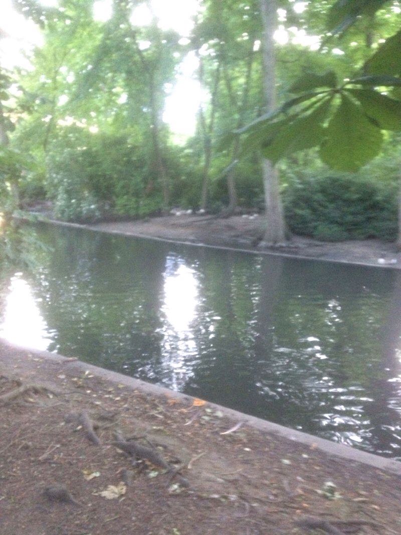 walking near me in The Peoples Park in winter