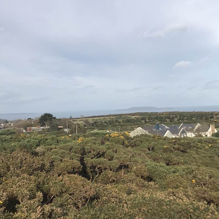 darran.bissett post 3