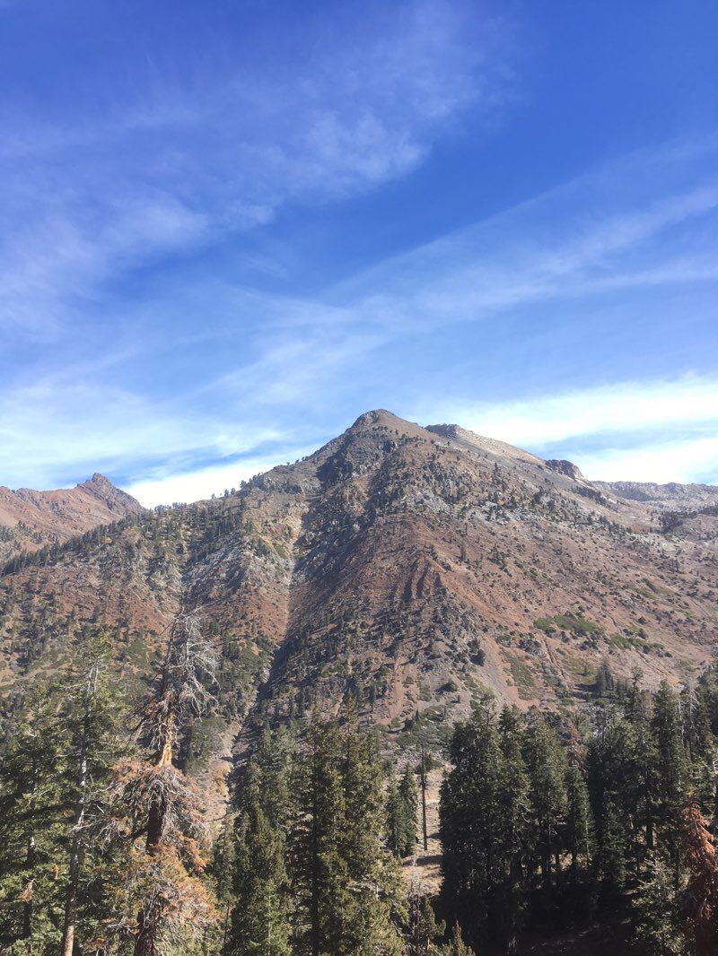 walking near me in John Krebs Wilderness in winter