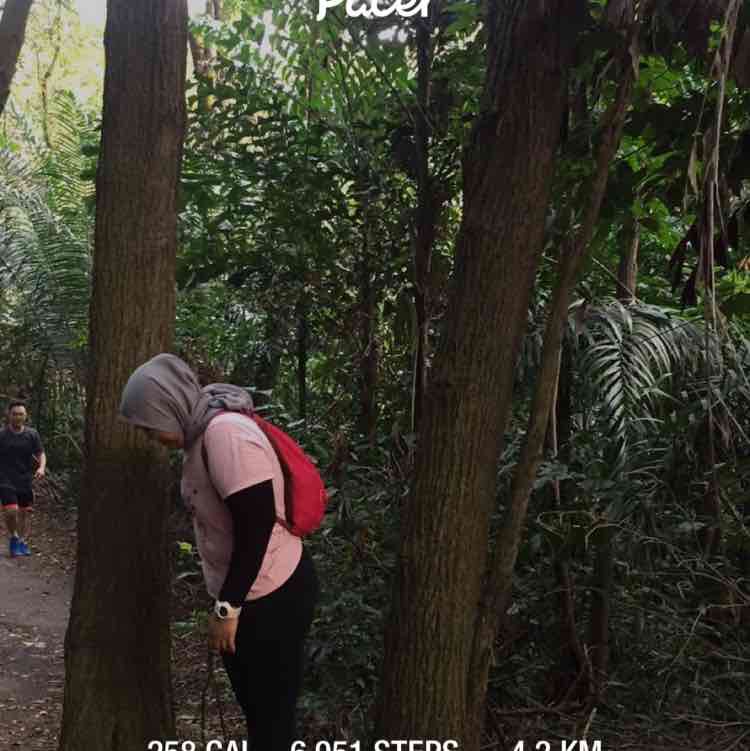 miszbee141182 post 1