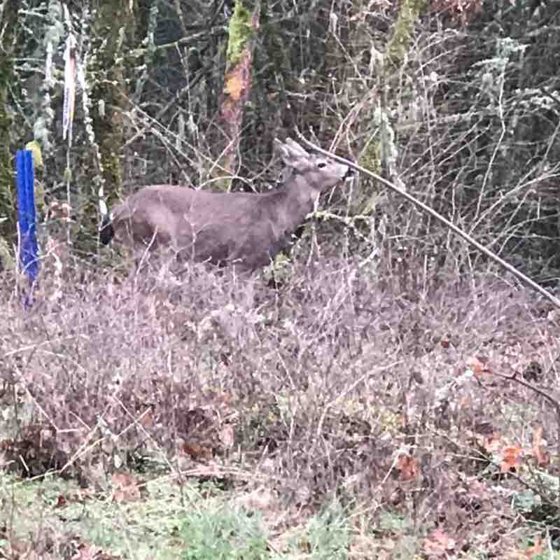 darcanning1977 post 2