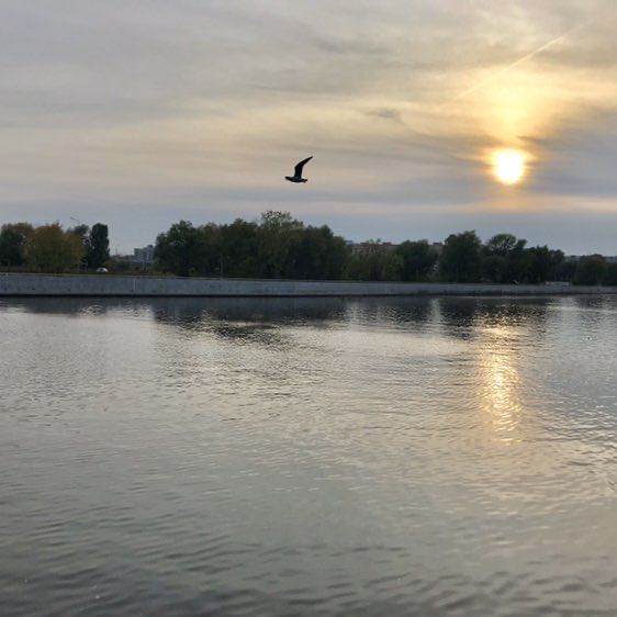 Сергей Гринер post 1