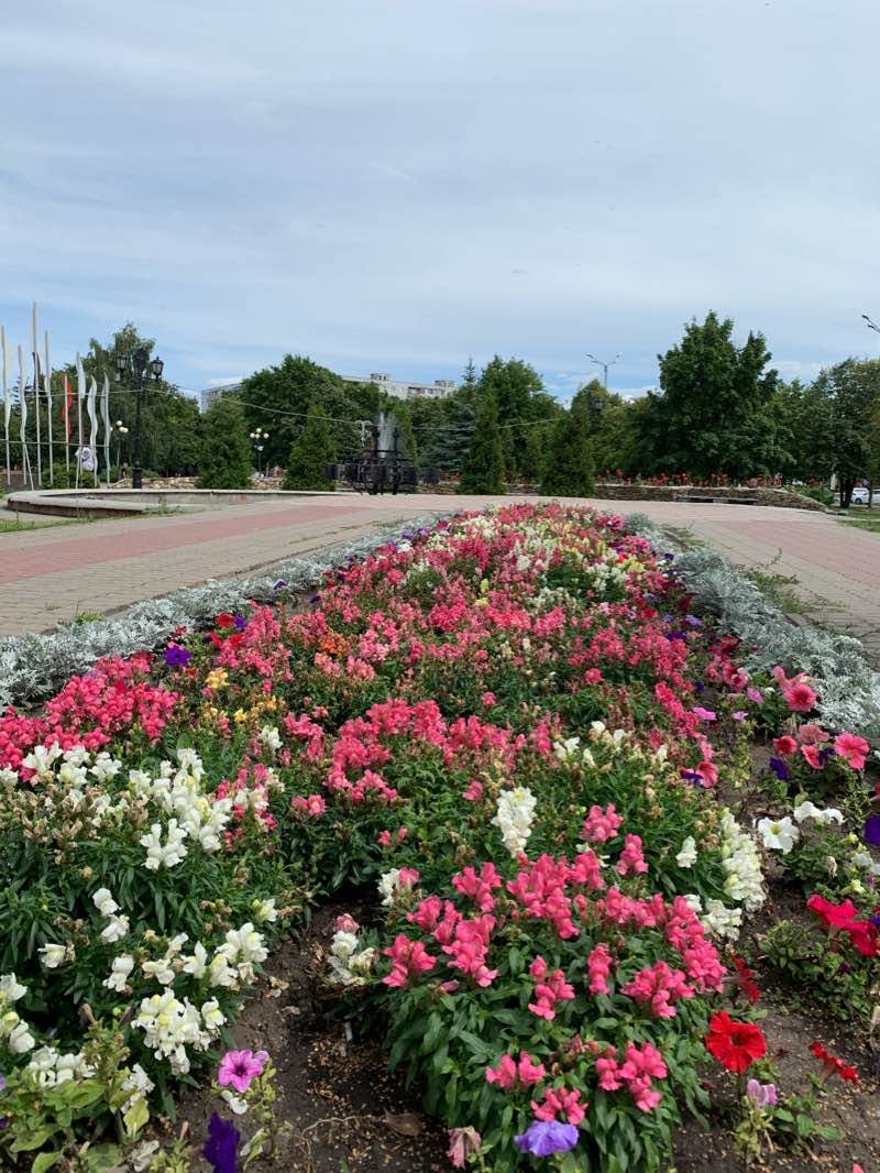 walking near me in парк Зелёный Лог in winter