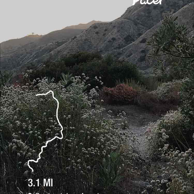 Elena Petokian post 1