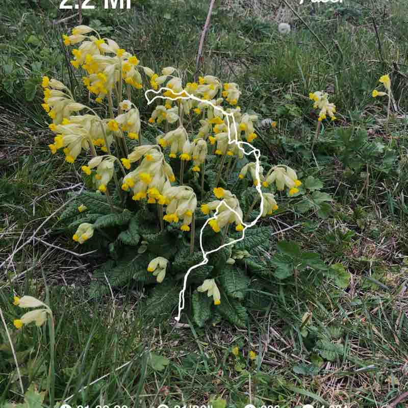 lets do this ❤️ post 1