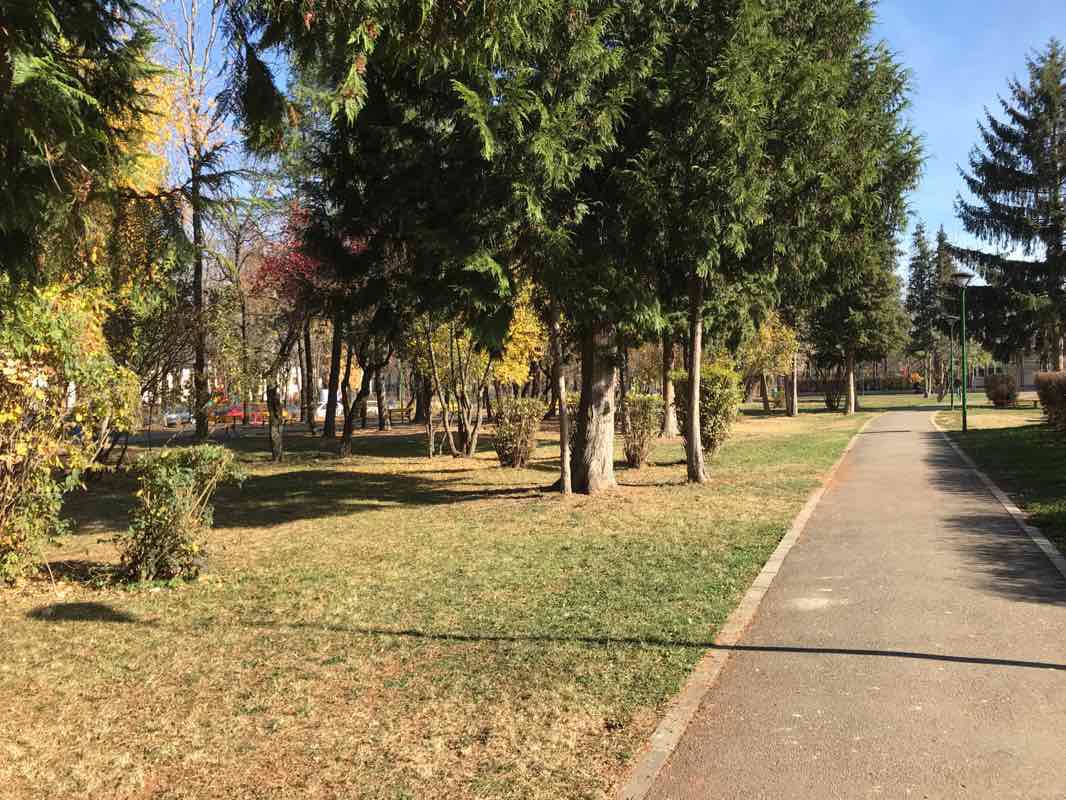 walking near me in Parcul Sportiv in winter