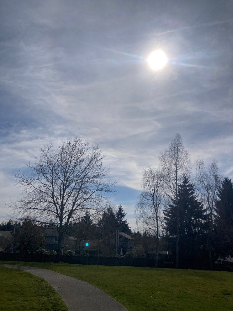 walking near me in Silverdale Rotary Gateway Park in winter