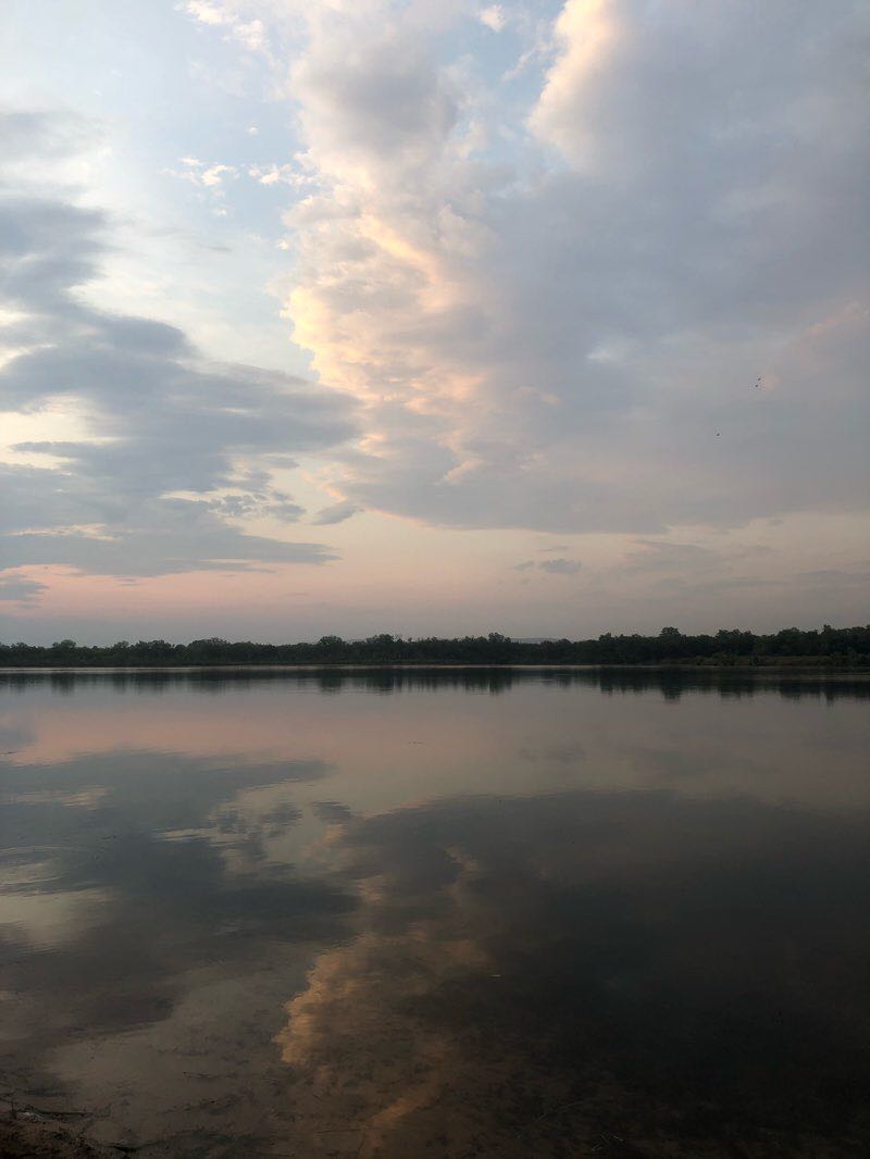 walking near me in Rotary Centenary Park in summer