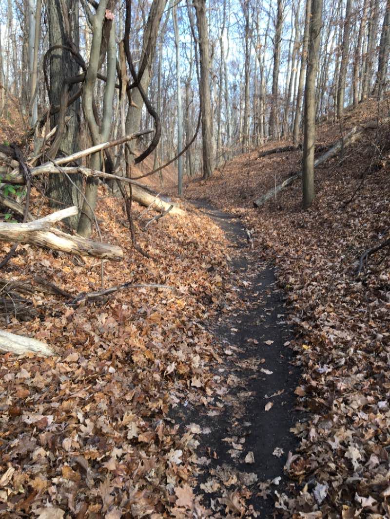 walking near me in Ganondagan State Historic Site in winter