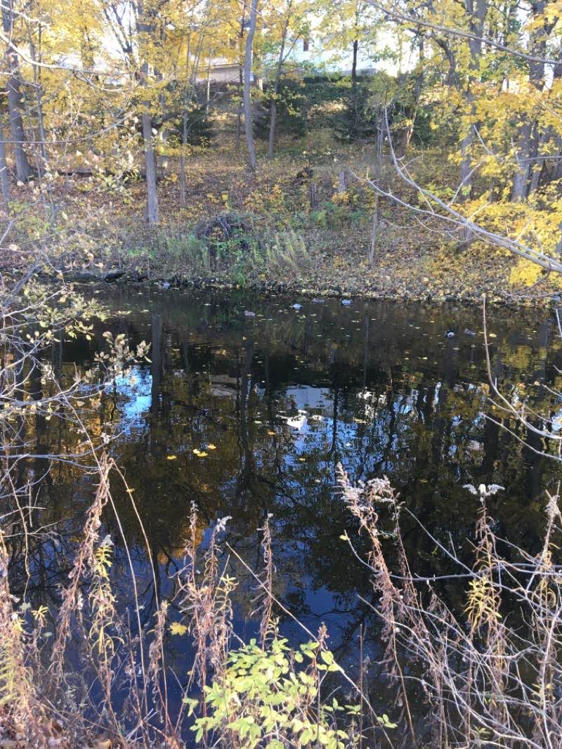 walking near me in Pal-Mac Aqueduct Park in winter