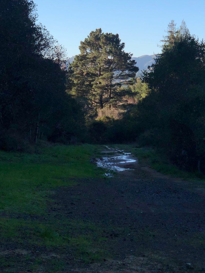 walking near me in Bayfront Park in winter