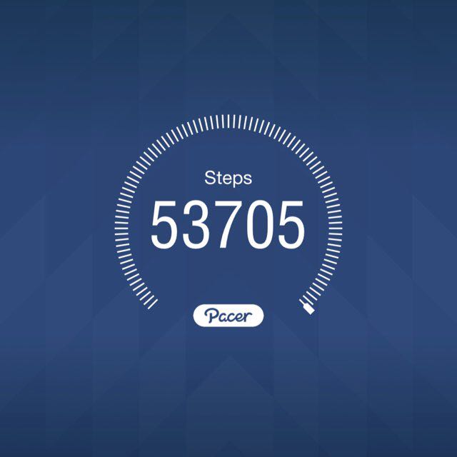 AERO 88 🐾🐕‍🦺 🇺🇸🌟 post 1