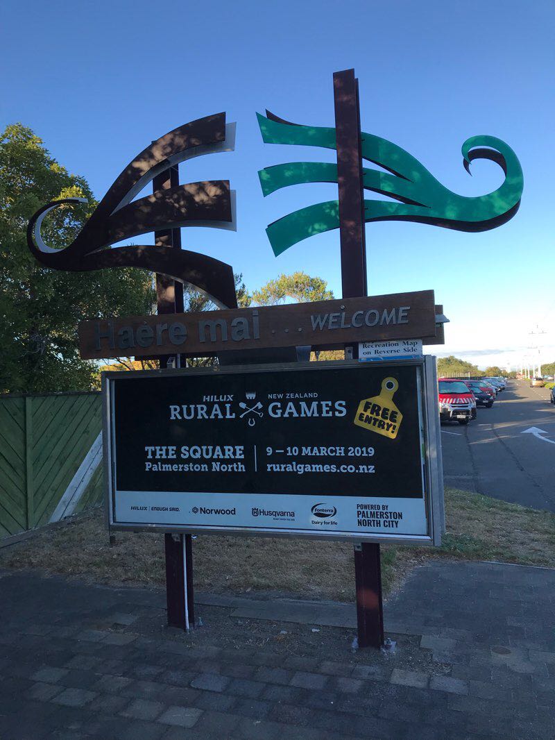 walking near me in Memorial Park in summer