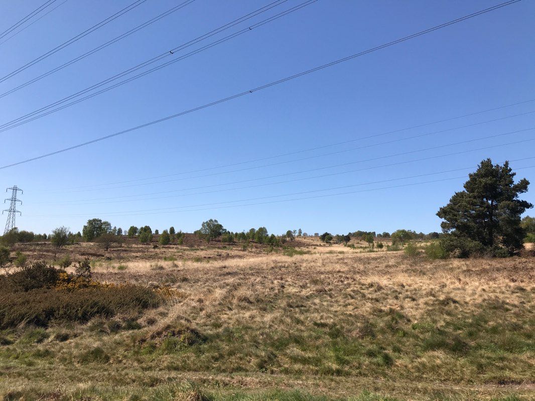 walking near me in Coppy Nook Park in winter