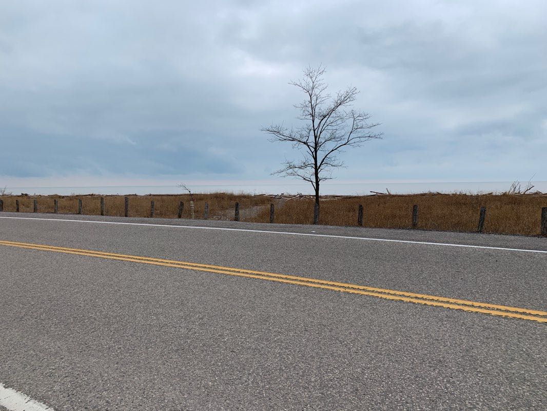 walking near me in Port Bruce Provincial Park in winter