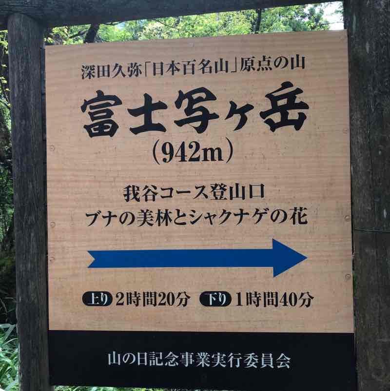 博美 post 2
