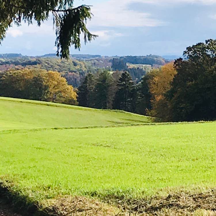 Trebor💋☀️😎🏁🏃🏼‍♂️ post 3