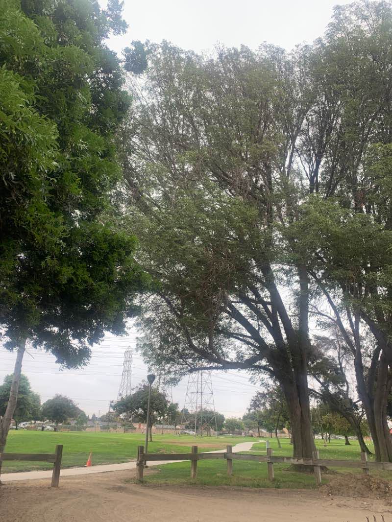 walking near me in Liberty Park in winter