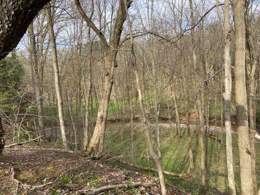 walking near me in Kirkland Town Park in winter